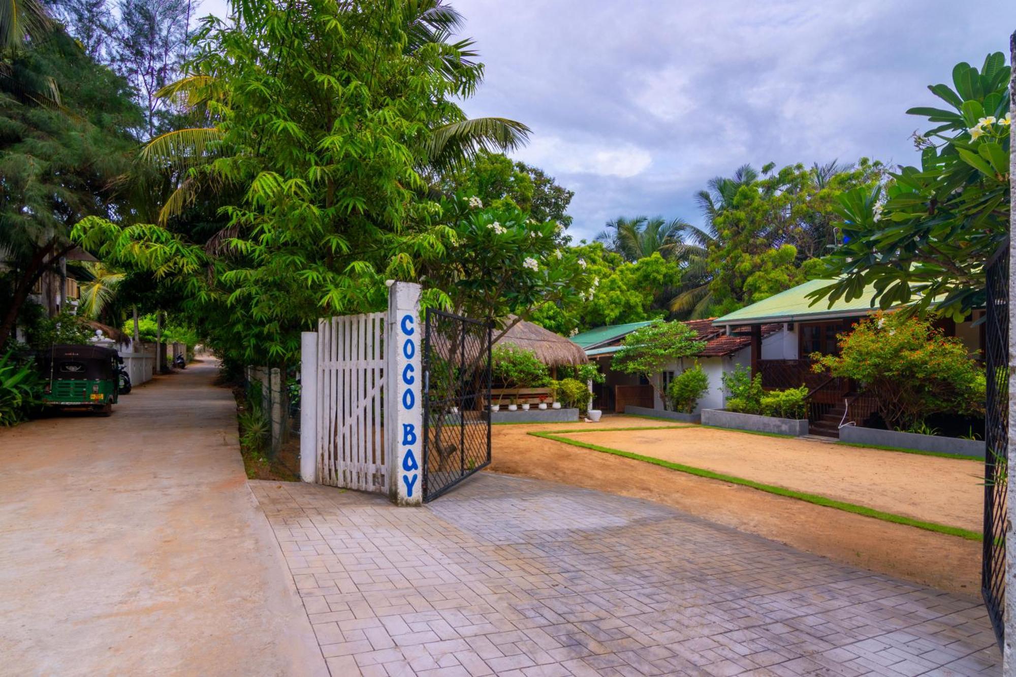 Hotel Arugambay Coco Bay Arugam Bay Zewnętrze zdjęcie