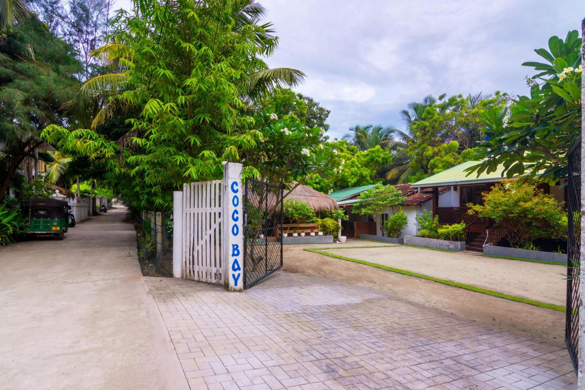 Hotel Arugambay Coco Bay Arugam Bay Pokój zdjęcie