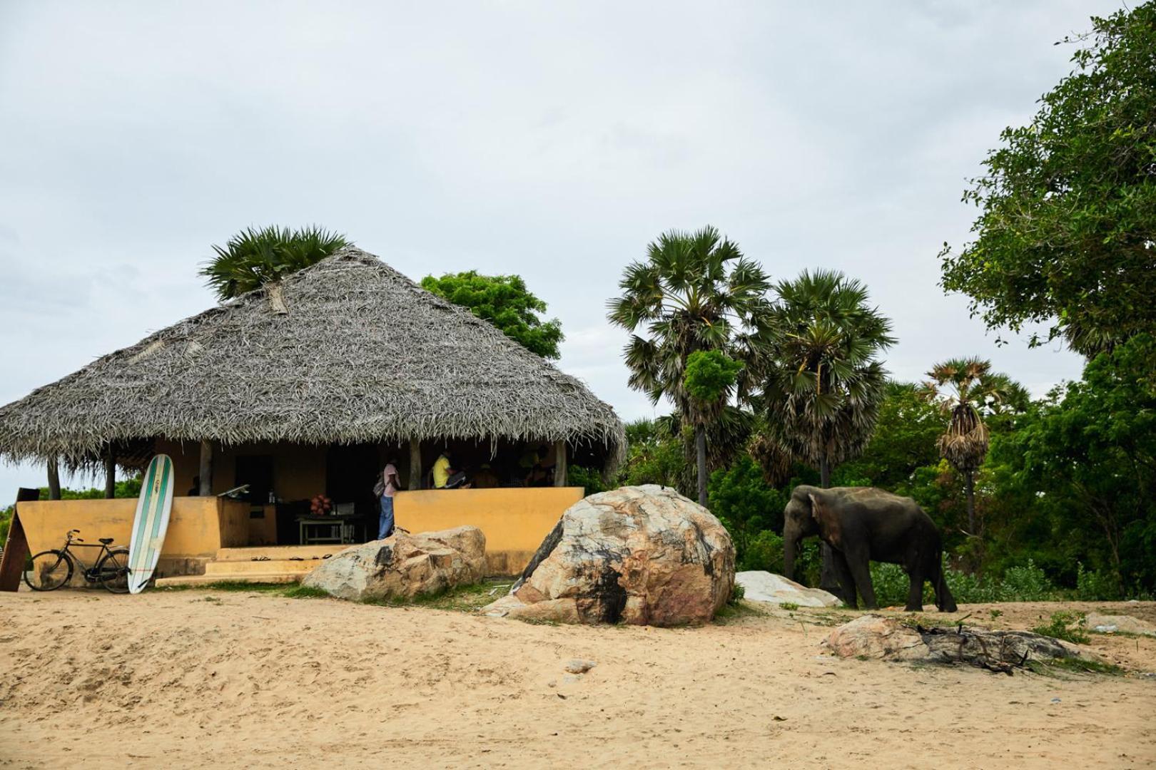 Hotel Arugambay Coco Bay Arugam Bay Zewnętrze zdjęcie